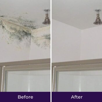Make this the Last Time You Have to Clean that Mold